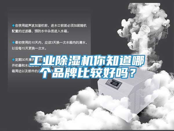 工业猫咪成人官网你知道哪个品牌比较好吗？