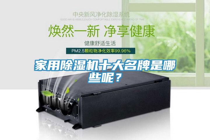 家用猫咪成人官网十大名牌是哪些呢？