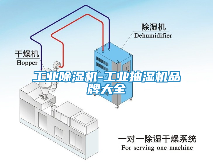 工业猫咪成人官网-工业抽湿机品牌大全
