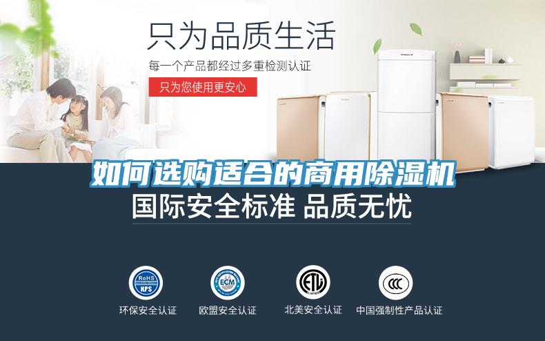 如何选购适合的商用猫咪成人官网