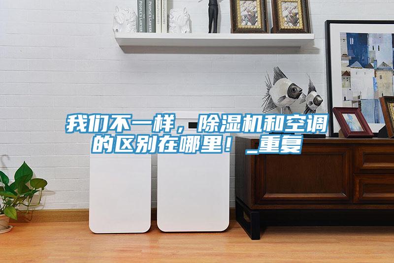 猫咪成人在线视频不一样，猫咪成人官网和空调的区别在哪里！_重复
