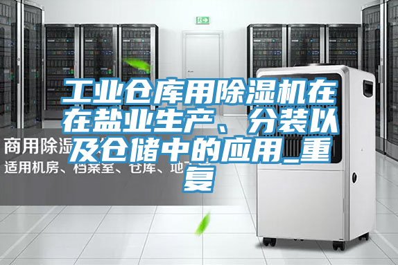 工业仓库用猫咪成人官网在在盐业生产、分装以及仓储中的应用_重复