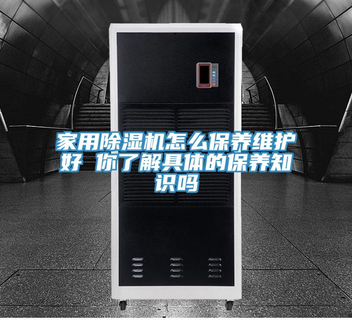 家用猫咪成人官网怎么保养维护好 你了解具体的保养知识吗