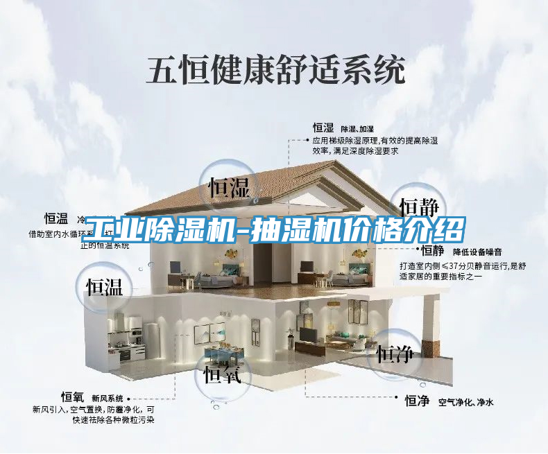 工业猫咪成人官网-抽湿机价格介绍
