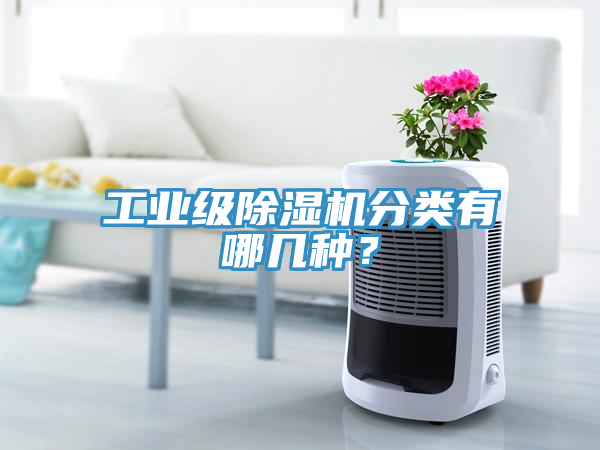 工业级猫咪成人官网分类有哪几种？