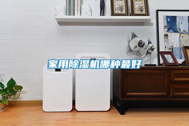 家用猫咪成人官网哪种最好