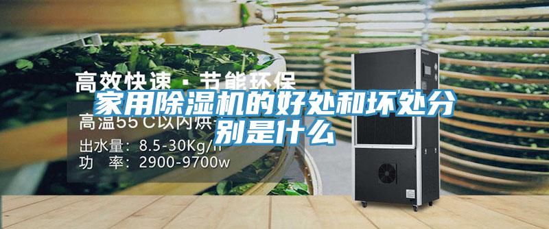 家用猫咪成人官网的好处和坏处分别是什么