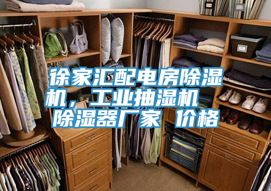 徐家汇配电房猫咪成人官网，工业抽湿机  除湿器厂家 价格