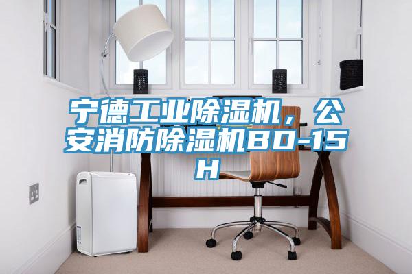 宁德工业猫咪成人官网，公安消防猫咪成人官网BD-15H