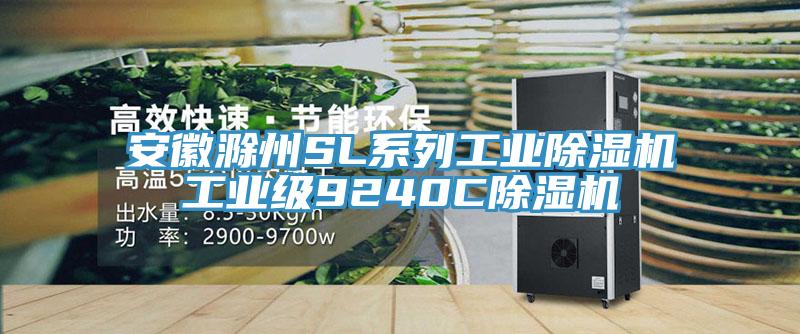 安徽滁州SL系列工业猫咪成人官网工业级9240C猫咪成人官网