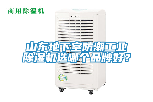 山东地下室防潮工业猫咪成人官网选哪个品牌好？
