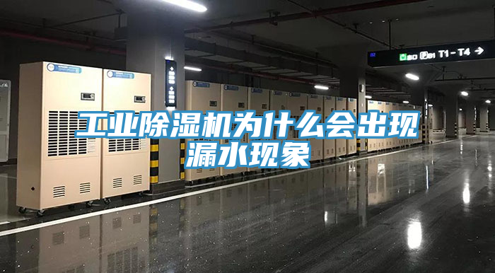 工业猫咪成人官网为什么会出现漏水现象