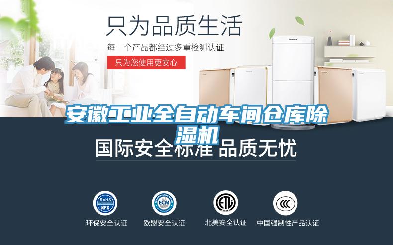 安徽工业全自动车间仓库猫咪成人官网