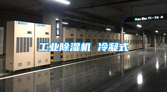 工业猫咪成人官网 冷凝式