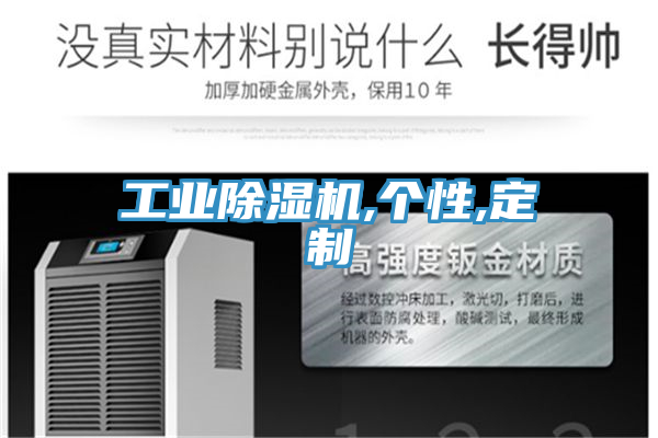 工业猫咪成人官网,个性,定制