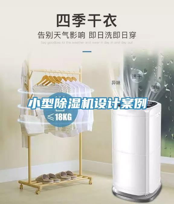 小型猫咪成人官网设计案例