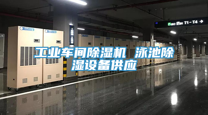 工业车间猫咪成人官网 泳池除湿设备供应