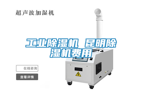 工业猫咪成人官网 昆明猫咪成人官网费用