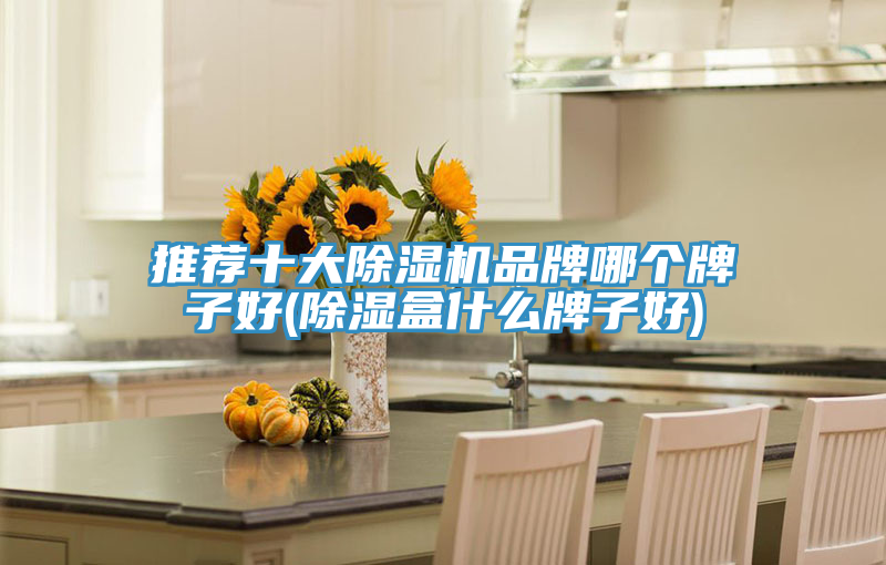 推荐十大猫咪成人官网品牌哪个牌子好(除湿盒什么牌子好)