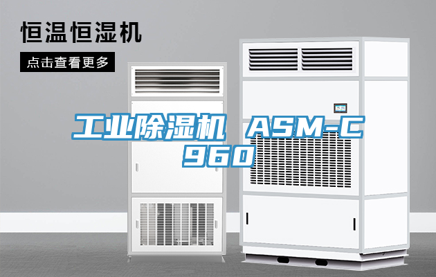 工业猫咪成人官网 ASM-C960