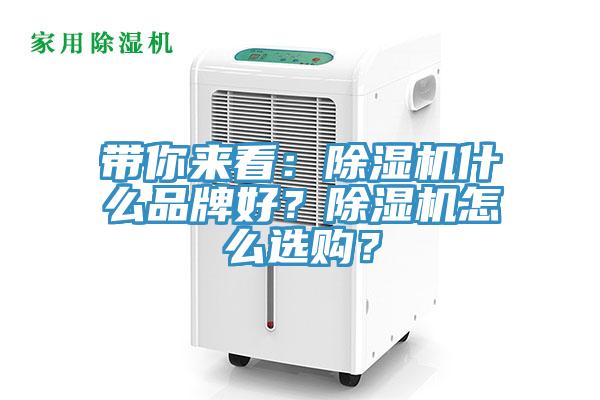 带你来看：猫咪成人官网什么品牌好？猫咪成人官网怎么选购？