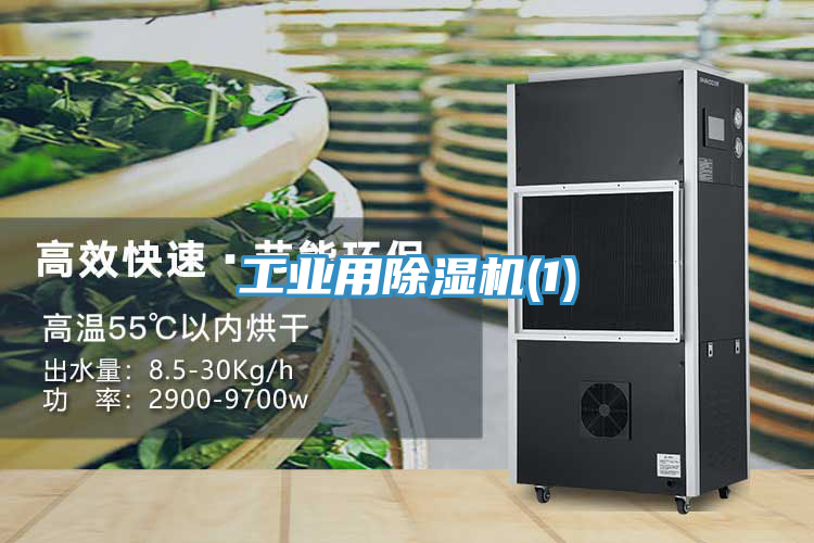 工业用猫咪成人官网(1)