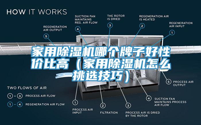 家用猫咪成人官网哪个牌子好性价比高（家用猫咪成人官网怎么挑选技巧）