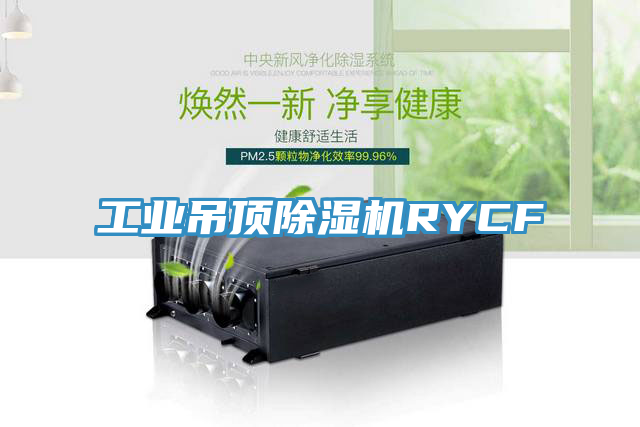 工业吊顶猫咪成人官网RYCF