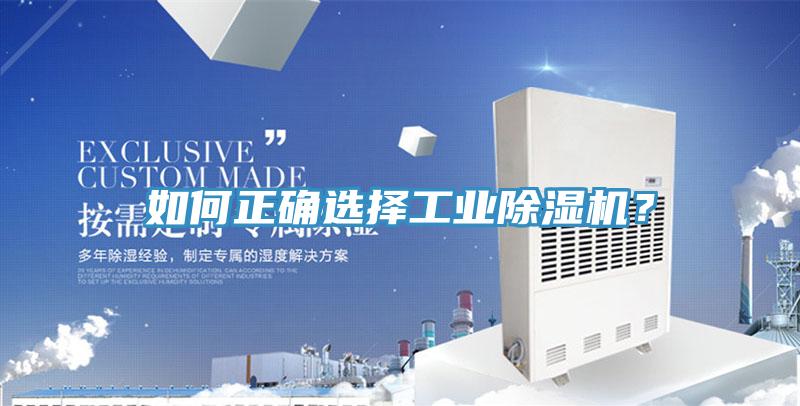 如何正确选择工业猫咪成人官网？