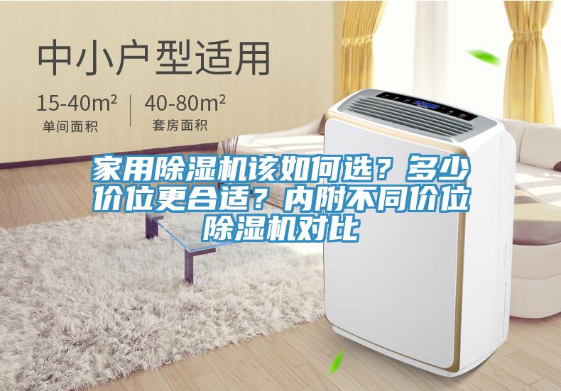 家用猫咪成人官网该如何选？多少价位更合适？内附不同价位猫咪成人官网对比