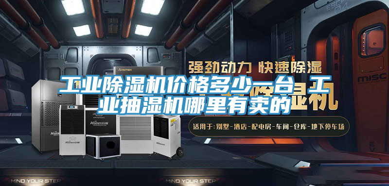 工业猫咪成人官网价格多少一台 工业抽湿机哪里有卖的