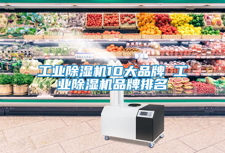 工业猫咪成人官网10大品牌 工业猫咪成人官网品牌排名