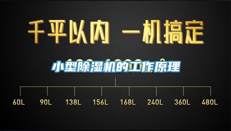 小型猫咪成人官网的工作原理