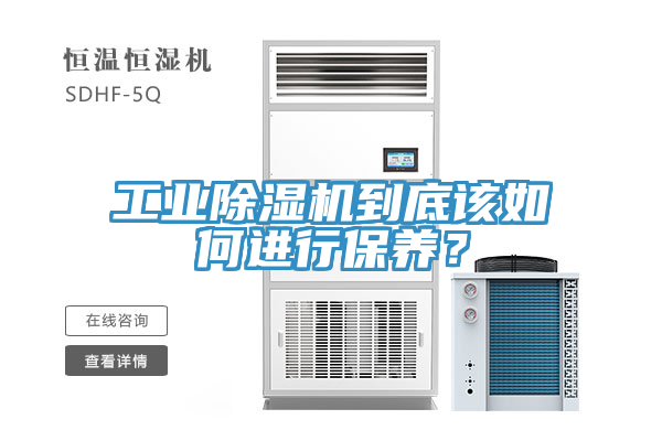 工业猫咪成人官网到底该如何进行保养？