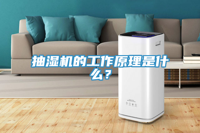 抽湿机的工作原理是什么？