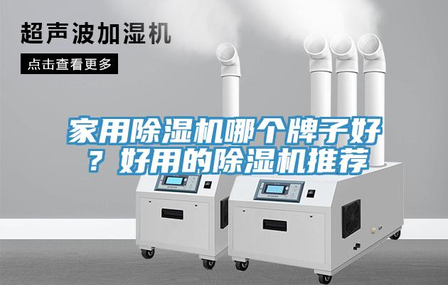 家用猫咪成人官网哪个牌子好？好用的猫咪成人官网推荐