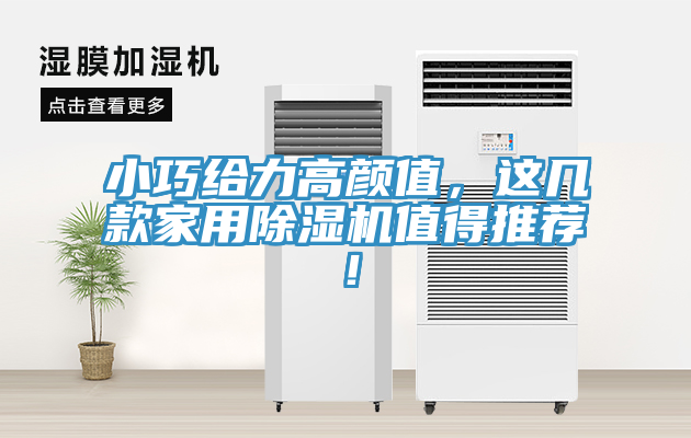 小巧给力高颜值，这几款家用猫咪成人官网值得推荐！