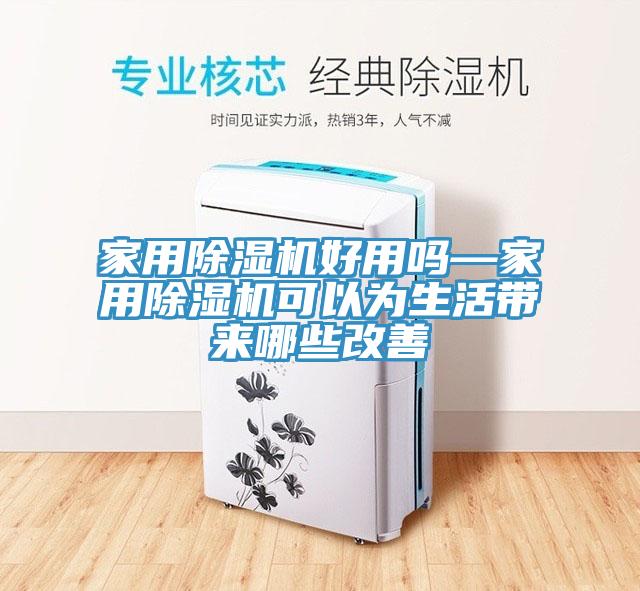 家用猫咪成人官网好用吗—家用猫咪成人官网可以为生活带来哪些改善