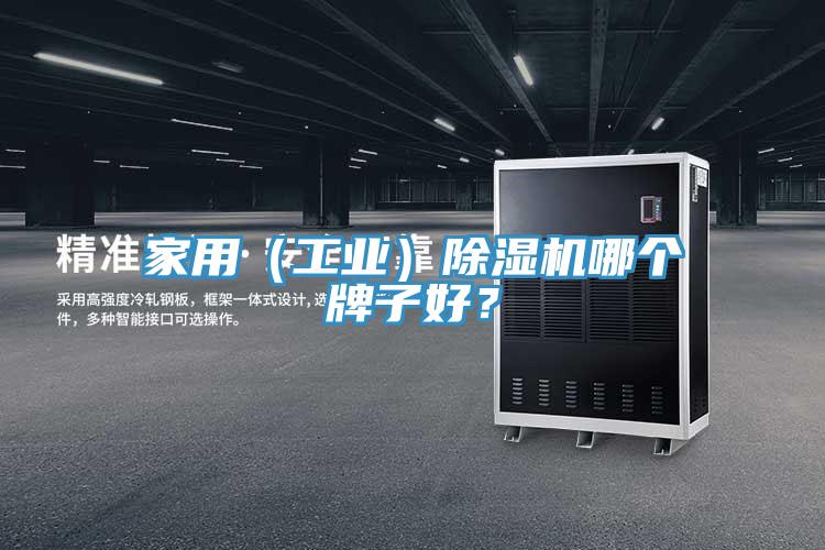 家用（工业）猫咪成人官网哪个牌子好？