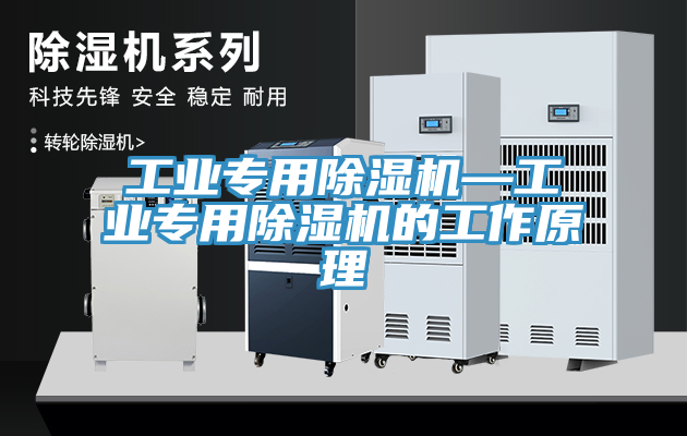 工业专用猫咪成人官网—工业专用猫咪成人官网的工作原理