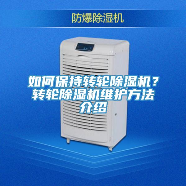 如何保持转轮猫咪成人官网？转轮猫咪成人官网维护方法介绍