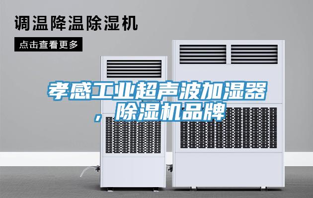 孝感工业超声波加湿器，猫咪成人官网品牌