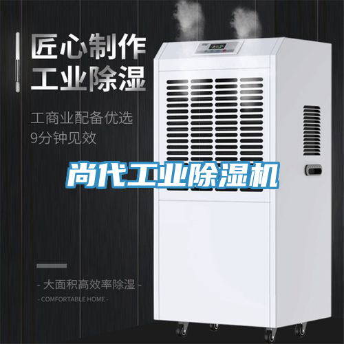 尚代工业猫咪成人官网