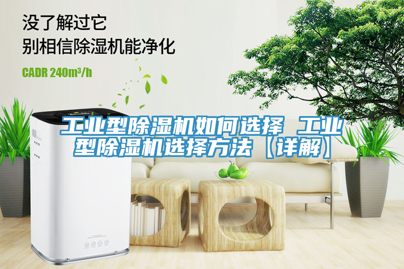 工业型猫咪成人官网如何选择 工业型猫咪成人官网选择方法【详解】