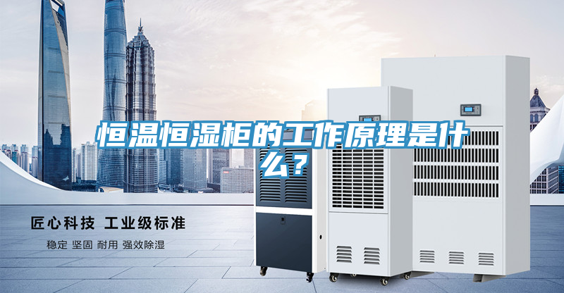 恒温恒湿柜的工作原理是什么？