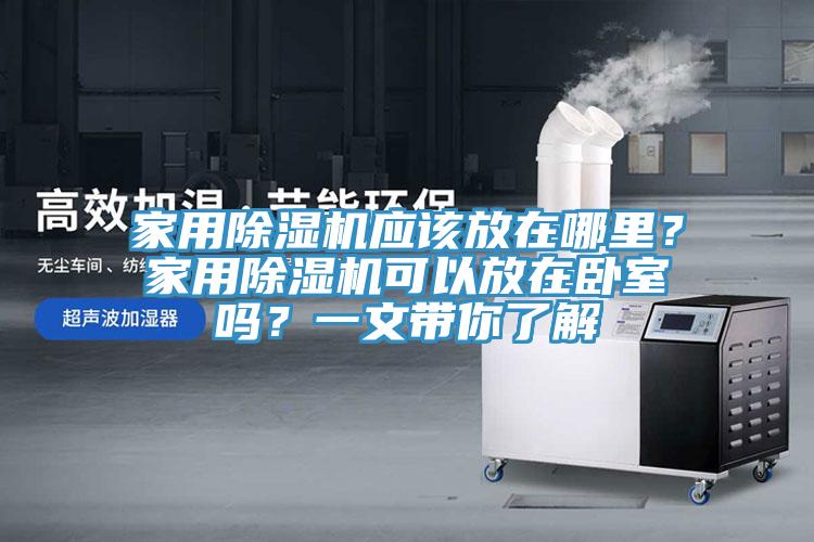 家用猫咪成人官网应该放在哪里？家用猫咪成人官网可以放在卧室吗？一文带你了解