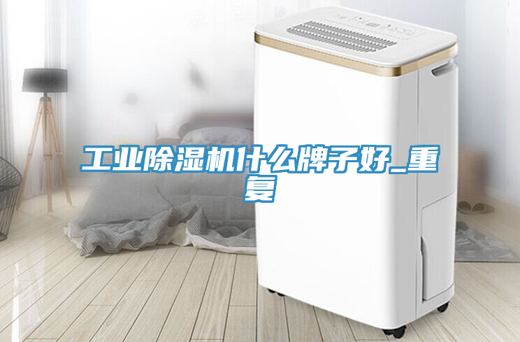 工业猫咪成人官网什么牌子好_重复