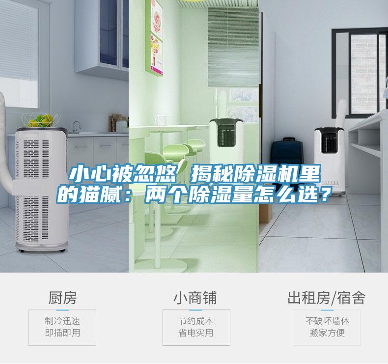 小心被忽悠 揭秘猫咪成人官网里的猫腻：两个除湿量怎么选？