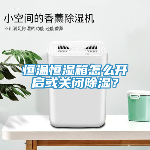恒温恒湿箱怎么开启或关闭除湿？
