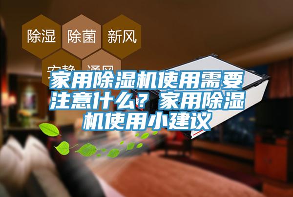 家用猫咪成人官网使用需要注意什么？家用猫咪成人官网使用小建议
